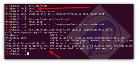 open file linux command.